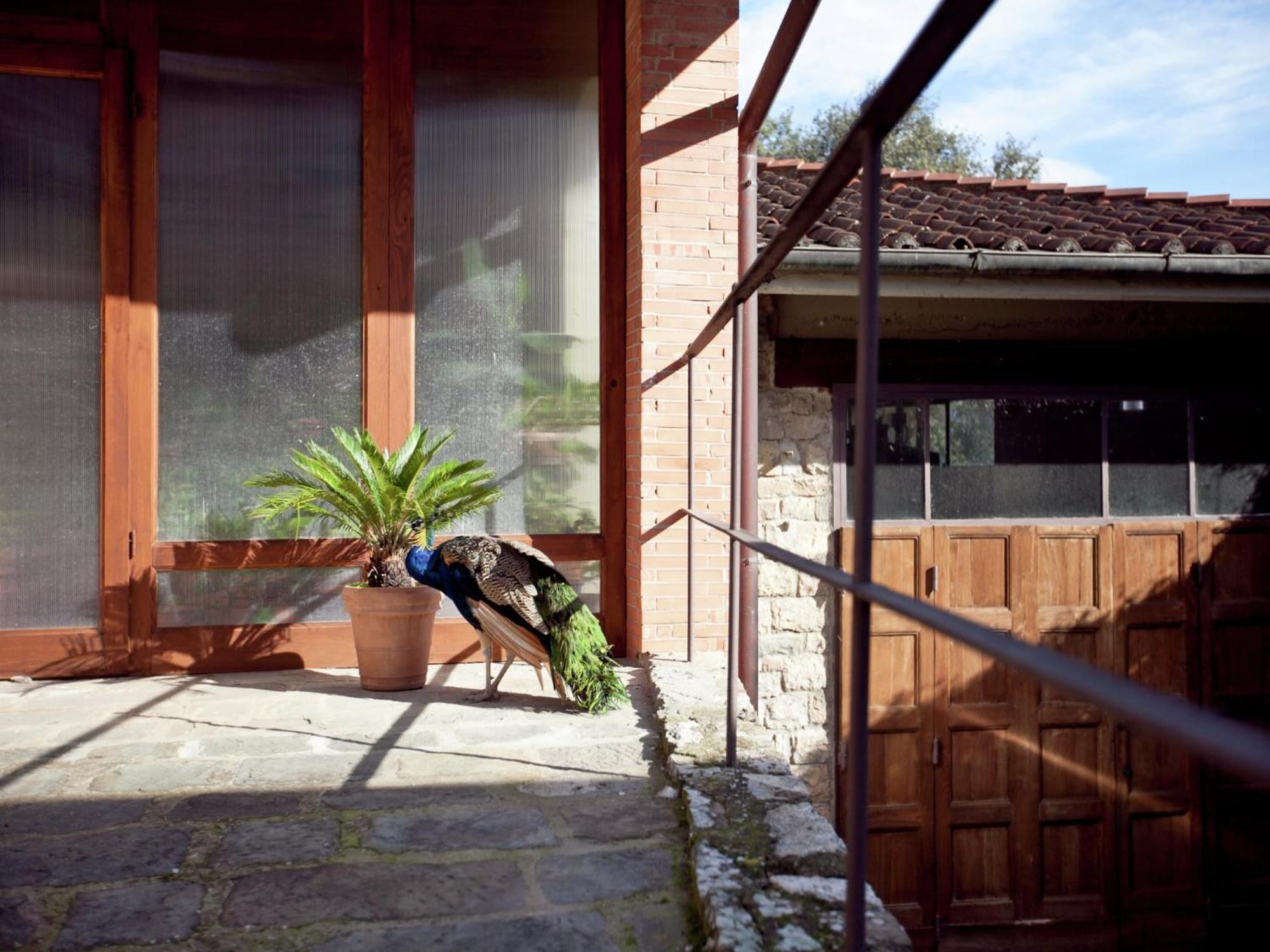 Pleasant With Swimming Pool Garden Bbq Parking Apartment Lucolena in Chianti